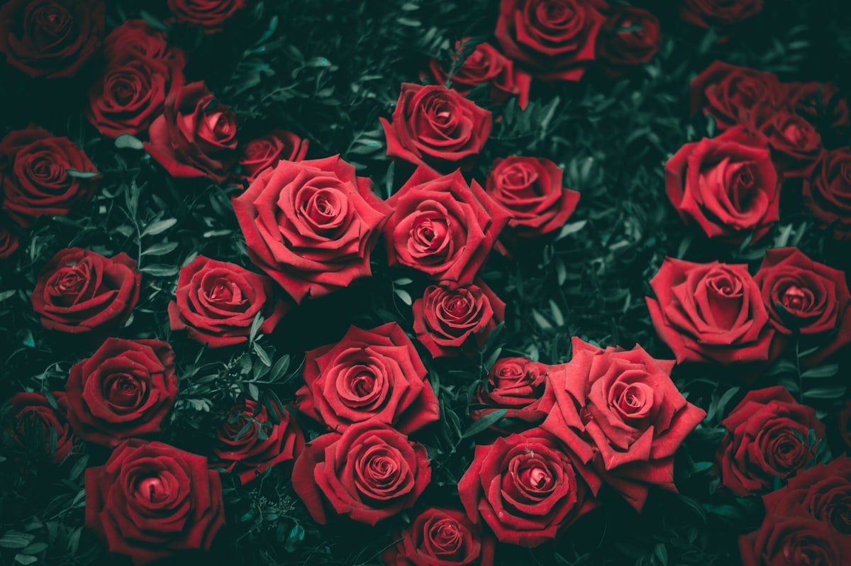 Composition romantique